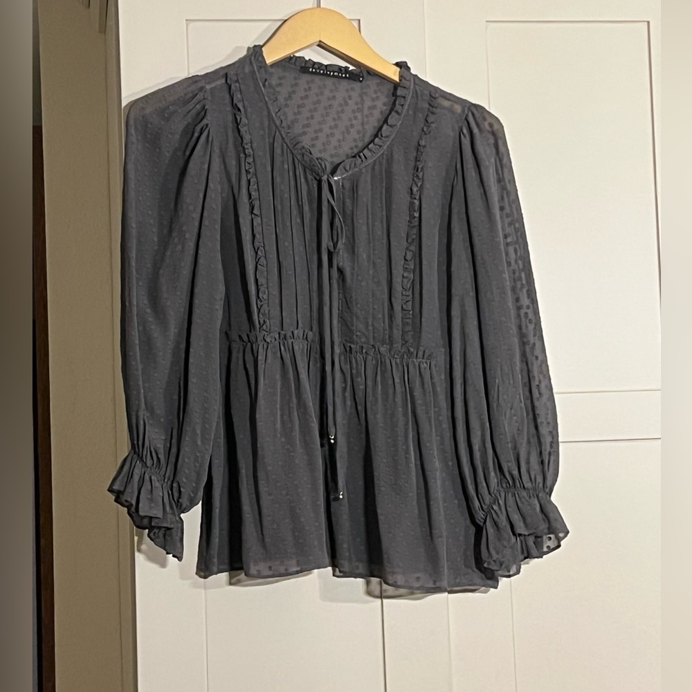 development gray sheer Swiss dot, puff elastic sleeve, gathered ruffle front s 6